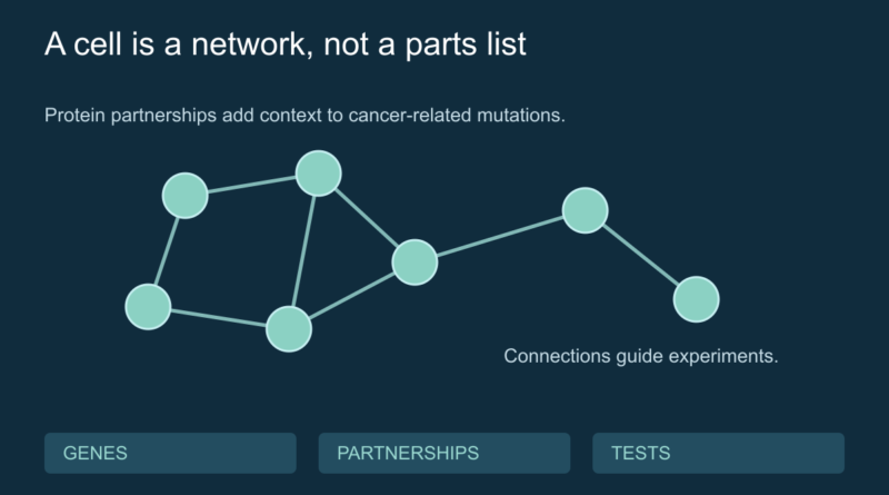 Conceptual protein network with connected nodes and labels for genes, partnerships and tests.