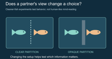 Conceptual comparison of two fish separated by clear and opaque partitions.