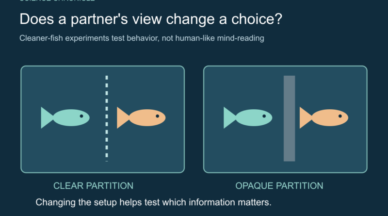 Conceptual comparison of two fish separated by clear and opaque partitions.