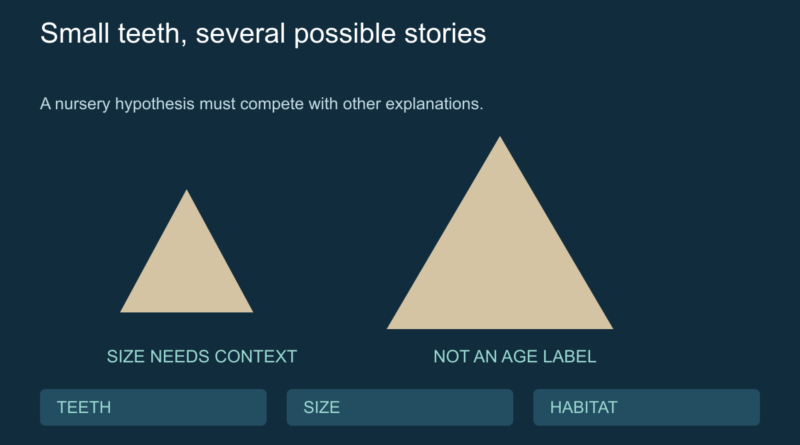 Conceptual small and large fossil tooth shapes beside alternative explanation labels.