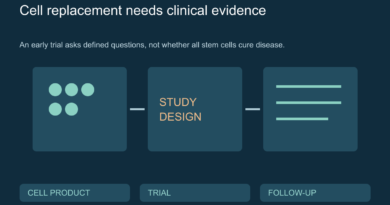 Conceptual sequence showing a prepared cell product, transplantation research and follow-up assessment.