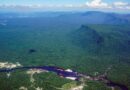 2023 could mark a turning point for the Amazon rainforest