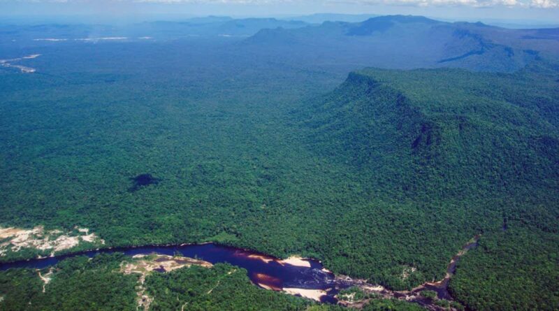 2023 could mark a turning point for the Amazon rainforest