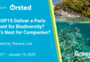 Did COP15 Deliver a Paris Moment for Biodiversity? What’s Next for Companies?