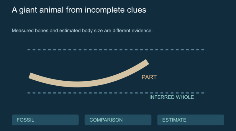 Conceptual jaw fragment beside a dashed outline indicating an estimated whole-body length.