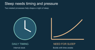 Schematic contrasting the internal daily clock with sleep need that builds during wakefulness.