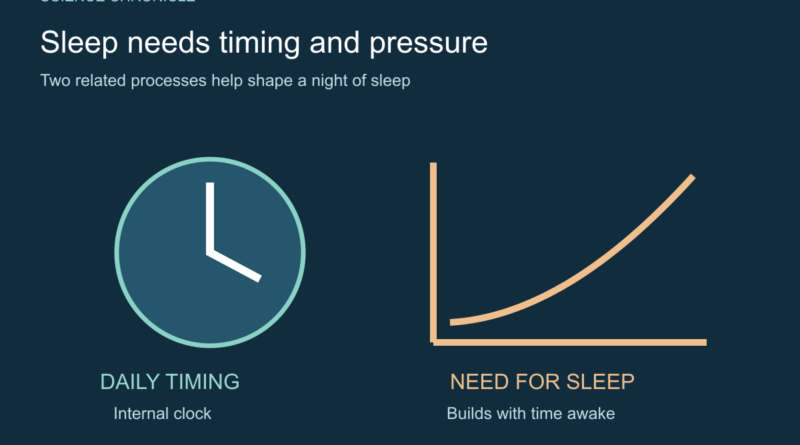 Schematic contrasting the internal daily clock with sleep need that builds during wakefulness.