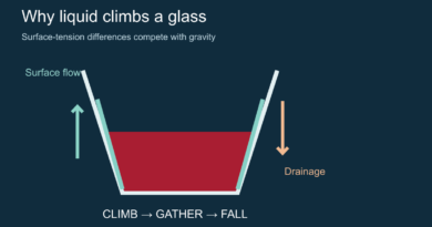 Schematic of liquid climbing a glass through surface flow and returning through drainage.