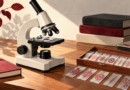 Choosing Your First Microscope: Start With What You Want to See Editorial illustration: choosing your first microscope.