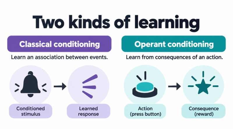 Editorial illustration: classical and operant conditioning.