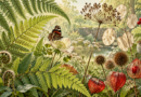 Keep a Backyard Biodiversity Log: Observe First, Identify Carefully Editorial illustration for nature science topics.