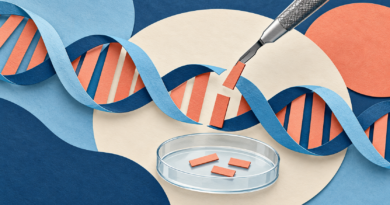 Editorial illustration: crispr gene editing explained.